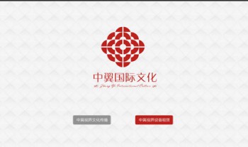 中翼视界文化传播有限公司