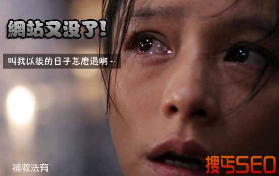 网站降权